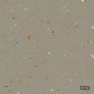 step cement