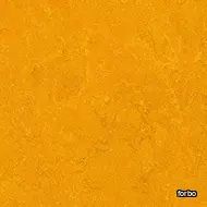 marmoleum fresco golden sunset