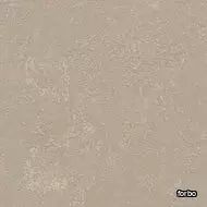 marmoleum concrete fossil