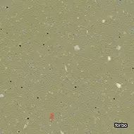 surestep original moss
