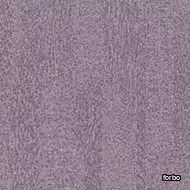 flotex colour Penang orchid