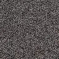 tessera chroma quinoa