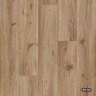 eternal hazelnut oak