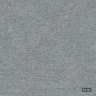 colour platinum