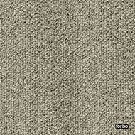 tessera basis pro sandy
