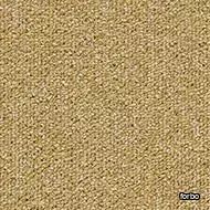 tessera basis pro buttercup