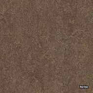 marmoleum marbled all colors walnut