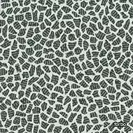 flotex created by sottsass Terrazzo