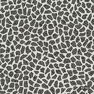 flotex created by sottsass Terrazzo