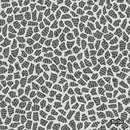 flotex created by sottsass Terrazzo