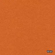 flotex borders tangerine