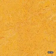 marmoleum authentic dandelion