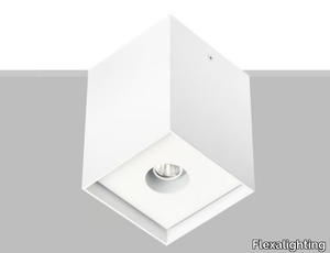 ARIK 10 - Ceiling Mounted Luminaire _ Flexalighting