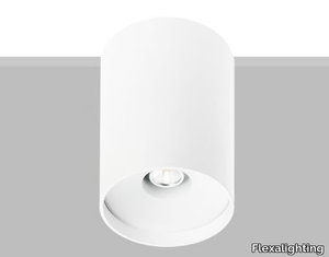 KOINE 10 - Ceiling Mounted Luminaire _ Flexalighting