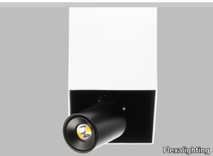 SWAN 10 - Ceiling Mounted Luminaire _ Flexalighting