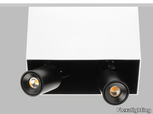 SWAN X120 - Ceiling Mounted Luminaire _ Flexalighting