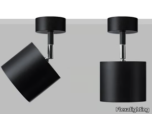 LAD S10 - Adjustable wall or ceiling projector _ Flexalighting