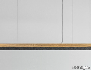 [C2o] BURNED WOOD - Oak and burned wood pendant lamp _ GANTlights