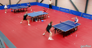 Taraflex® Table Tennis