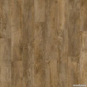 Country Oak 24842