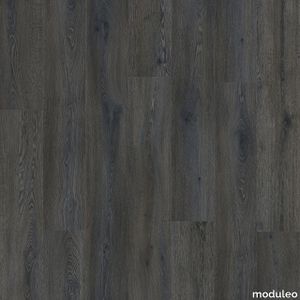 Galtymore Oak 86972
