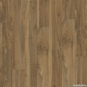 English Walnut 20565