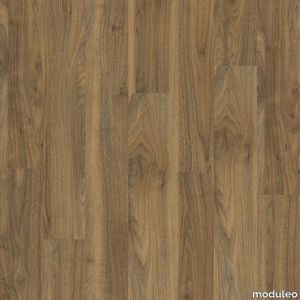 English Walnut 20565