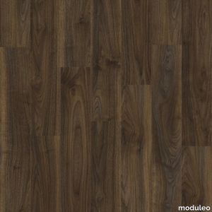 English Walnut 20896