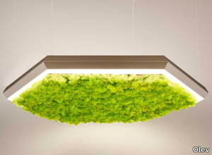 EXAGON SILENCE GREEN - LED Lichen pendant lamp _ Olev