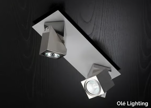 PRACTYK - LED adjustable rectangular zinc spotlight _ Olé Lighting