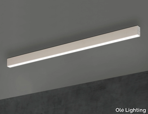 TI-ZAS - Ceiling mounted aluminium linear lighting profile for LED modules _ Olé Lighting