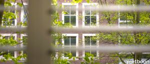 Shutters by Zonnelux