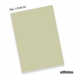 RAL110 80 20MinzeisgrünMint ice green