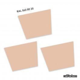 RAL060 80 20KeksbeigeBiscuit beige