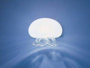 MEDUSINA - Halogen Borosilicate glass wall light _ Album