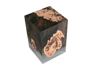 STUMP LARCH - Stool / coffee table _ Alcarol