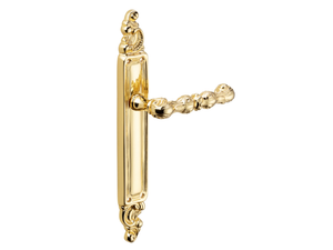 CARMEN - Brass door handle on back plate _ Dnd