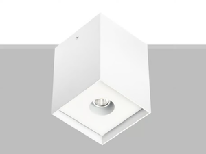 ARIK 10 - Ceiling Mounted Luminaire _ Flexalighting