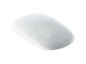 CITTERIO - Duroplast toilet seat _ Geberit