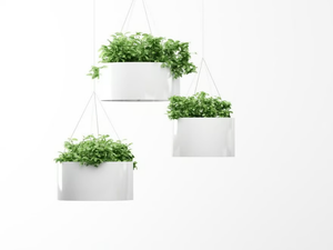 GREEN CLOUD - Hanging aluminium plant pot _ Systemtronic