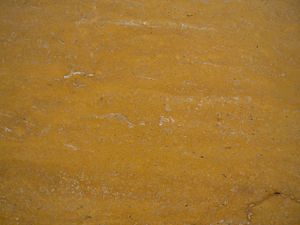 Golden Travertine Veincut