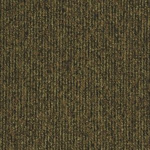 Contra Stripe army green