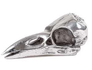 BIRD SKULL - Aluminium decorative object _ seletti