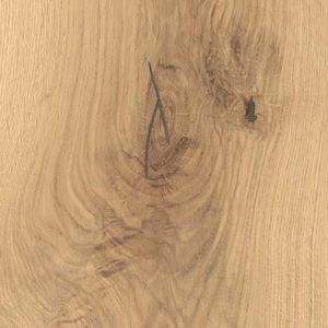 ROVERE TRISSINO