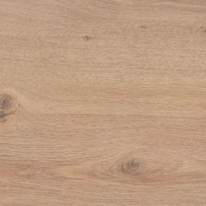 QUERCIA MONTANA