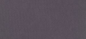 moroni - 8060.01
