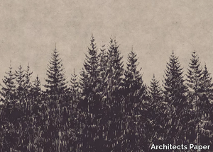 BLACK FOREST - Digital printing landscape wallpaper _ Architects Paper