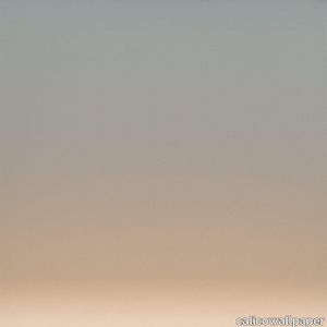 Anew
