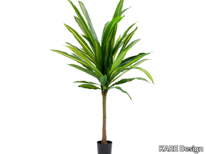 DRACAENA FRAGRANS - Polyethylene Artificial plant _ KARE Design