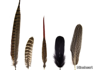 MAGIC MAGNETIC FEATHERS - Magnet _ Mineheart